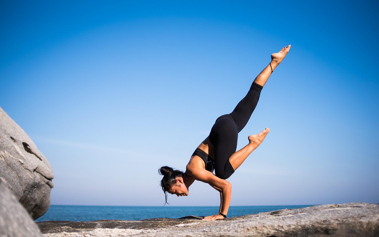 Yakfit Fitness Club collection